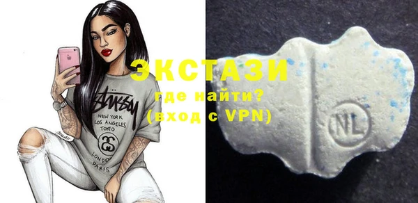 стафф Надым