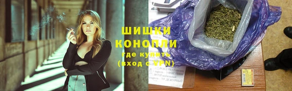 стафф Надым