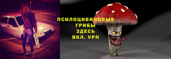 стафф Надым