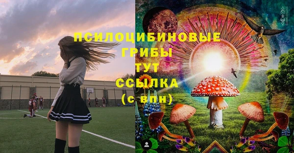 стафф Надым