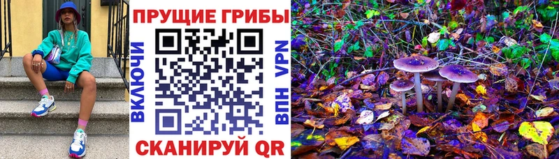 Псилоцибиновые грибы ЛСД Купить Котельниково