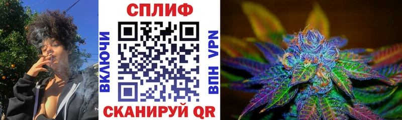 Бошки Шишки план  Купить  Котельниково 